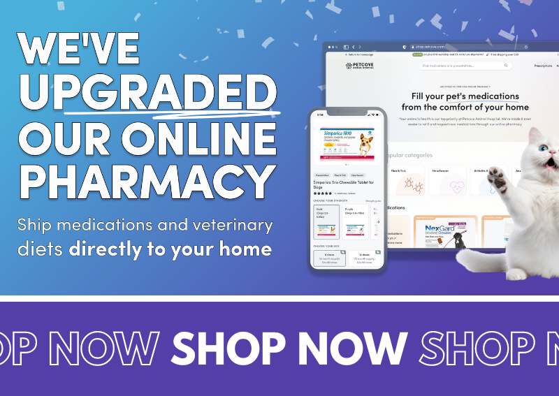 Carousel Slide 5: We've Upgraded our Online Pharmacy!